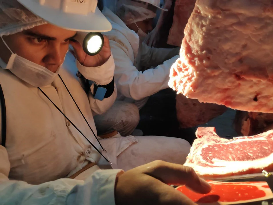Brazil Beef Quality