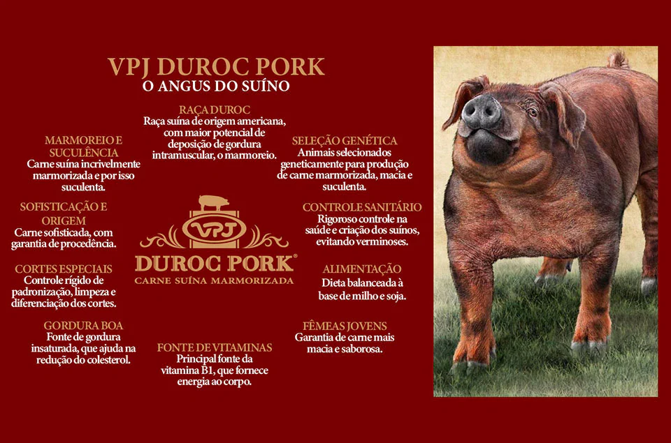 Duroc Pork, a carne suína de alto padrão que o consumidor brasileiro procura!