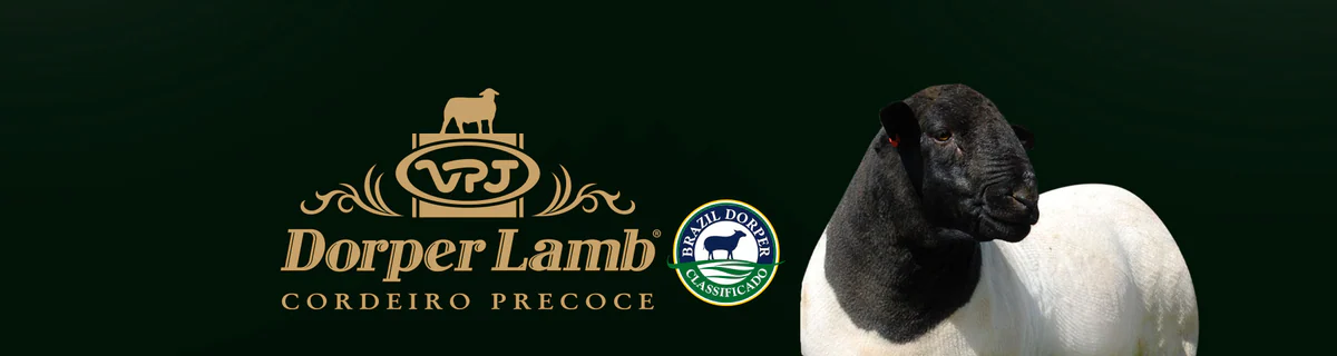 Dorper Lamb — Cordeiro Precoce