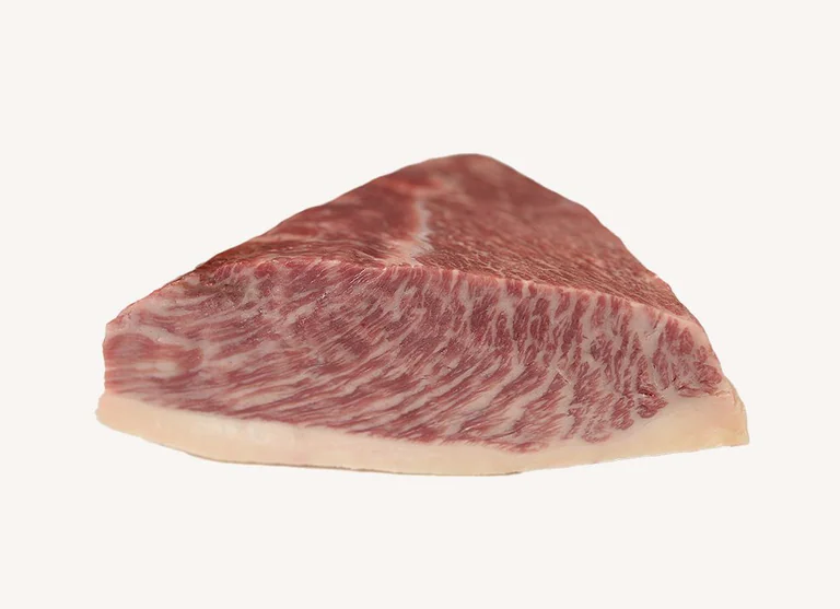 Rump