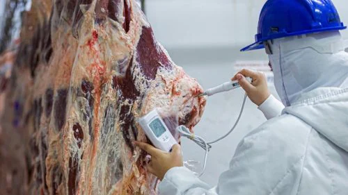 Por que o pH influencia a qualidade da carne?