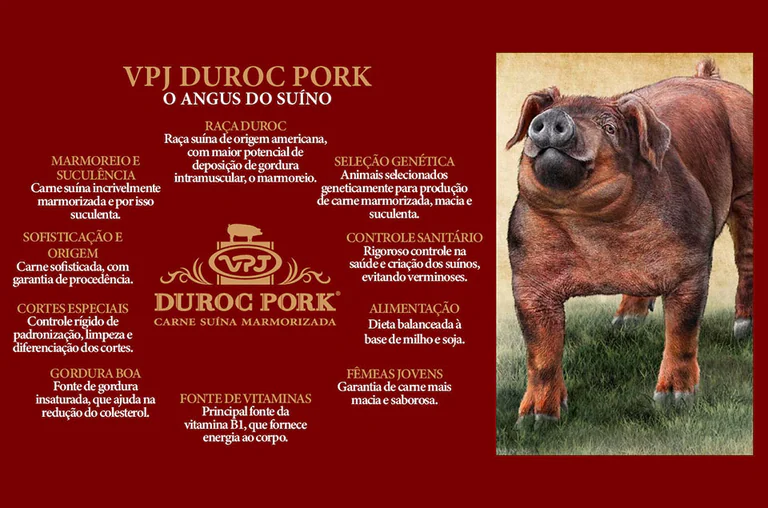 Duroc Pork, a carne suína de alto padrão que o consumidor brasileiro procura!