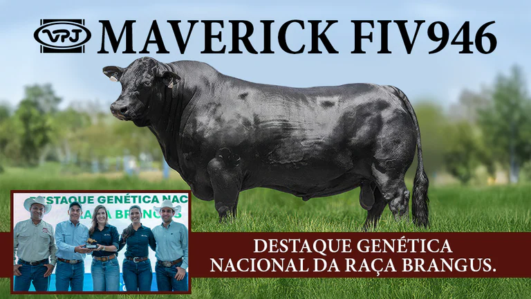 VPJ MAVERICK recebe troféu DESTAQUE GENÉTICA NACIONAL DA RAÇA BRANGUS